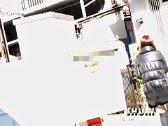 Japanese chicks revealed in top sharking incidents