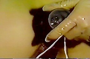 Japanese suspention
