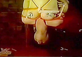 Japanese suspention