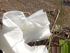 Japanese teens 18+ urinating outdoors