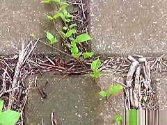 Japanese teens 18+ urinating outdoors