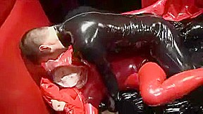 Latex Joy twenty