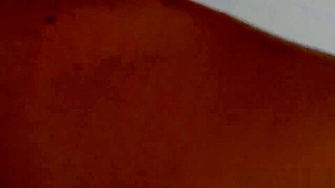 LatinLeche 03