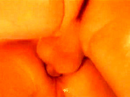 LiAVirg