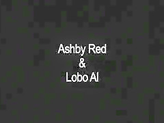 Lobo Al