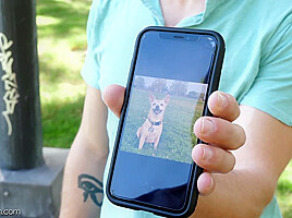 Lost Dog - ManRoyale