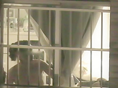 Maravilha de Vizinha 11