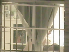 Maravilha de Vizinha 11