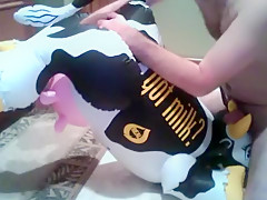 Milking a larger cow ( two of two )