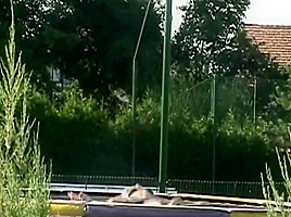 Naked teen 18+ Films Herself In The Neighbors Garden - Exciting