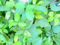 Nature Heals