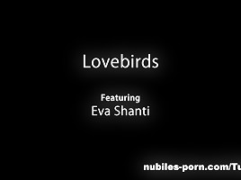 Nubiles-Porn Video: lovebirds