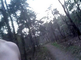 Nude Forest Walk With Big Roadside Piss And Nearly Caught! Flashjocks