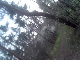 Nude Forest Walk With Big Roadside Piss And Nearly Caught! Flashjocks
