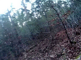 Nude Forest Walk With Big Roadside Piss And Nearly Caught! Flashjocks