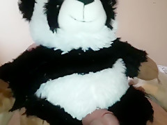 Panda plushie