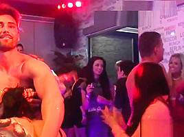 Party girl sucks cock