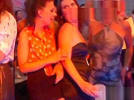 Party girl sucks cock