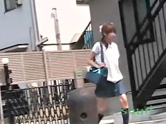 Perfect Asian pussies exposed in public sharking incidents