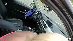 Picked up and Fucked - Swhores