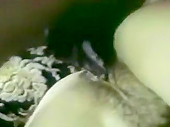 Prissy Brunette get fucked by BBC