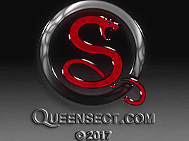 Queensect Wasp Experiment 3