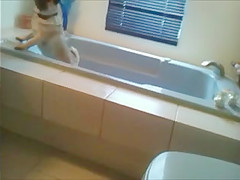 SPYCAMTEEN teen 18+ TIGHT ASS CAUGHT ON CAM IN BATHROOM