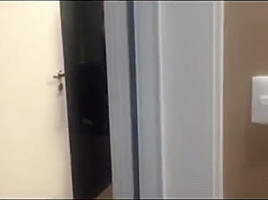 SUA SAFADA EXIBIDA