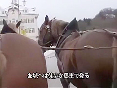 Saori Hara - Brown Eyes