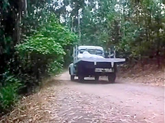 Seka fucks on a country road