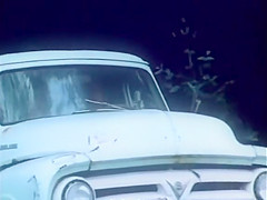 Seka fucks on a country road