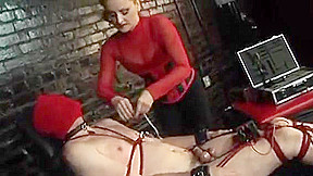 Sexy dominatrix grips a guys penis