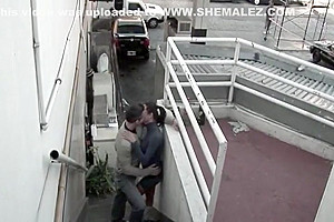 Shemales 01