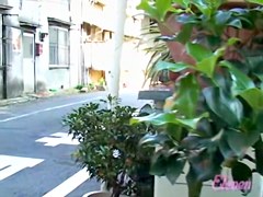 Small bombshell gets totally revealed in the public while going home