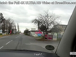 So are you Coming or Not- - Breedbus