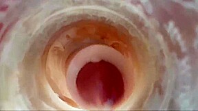 Solo internal cumshot 007  More! More!