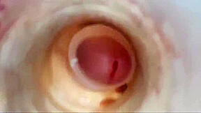 Solo internal cumshot 007  More! More!
