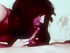 Southern Belle, Collection No  25, 1979