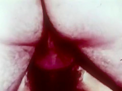 Southern Belle, Collection No  25, 1979