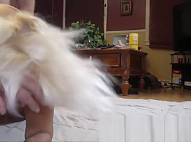 Squirting GILF and 3 Younger Men