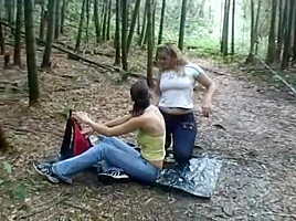 Stay in the woods