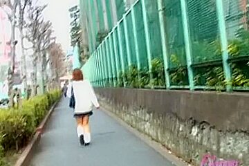 Street sharking involving a man who wanted to be a hero