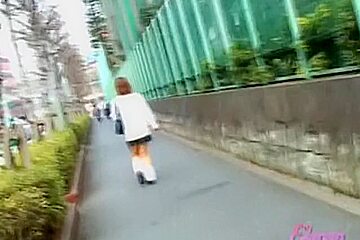 Street sharking involving a man who wanted to be a hero
