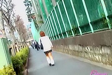 Street sharking involving a man who wanted to be a hero
