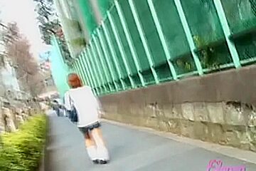 Street sharking involving a man who wanted to be a hero