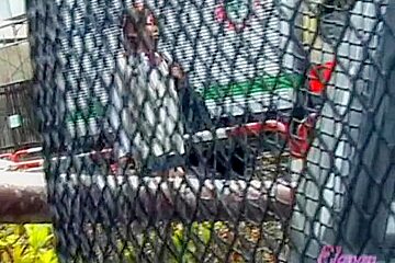 Street sharking involving a man who wanted to be a hero
