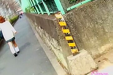 Street sharking involving a man who wanted to be a hero