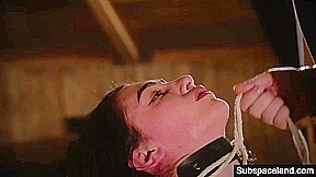Submissive hot slave gets tied up and fucked hard