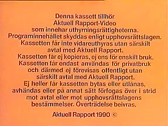Svenska Folkets Sexvanor 2