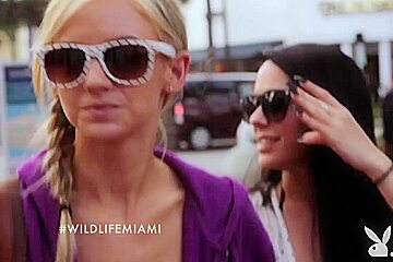 THE WILD LIFE : MIAMI, Season #1 Ep 2